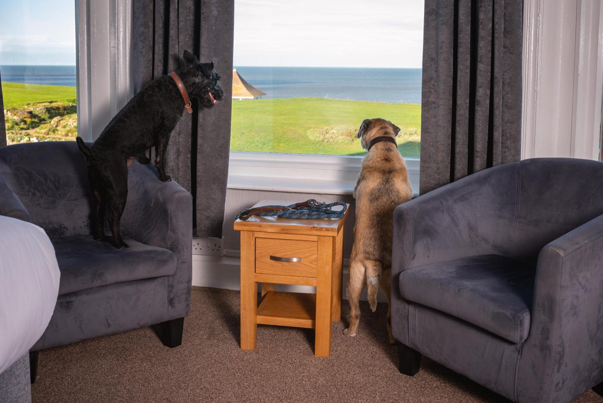 Sandcliff Guest House Cromer Zewnętrze zdjęcie